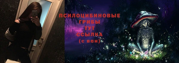 прущие крисы Няндома