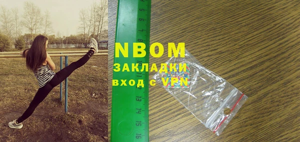 бошки Новодвинск