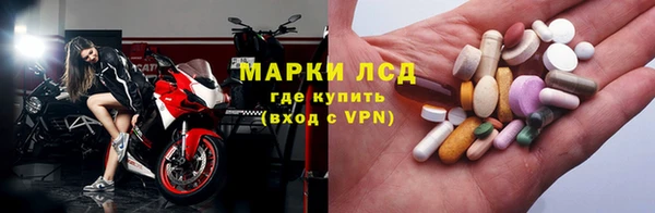бошки Новодвинск