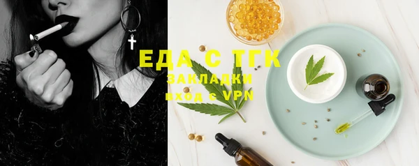 твердый Новозыбков