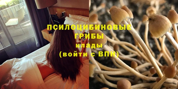 твердый Новозыбков