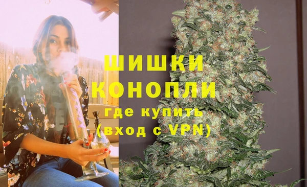 твердый Новозыбков