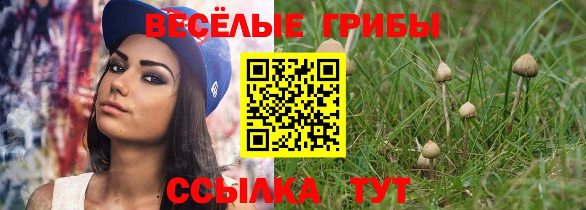 Галлюциногенные грибы GOLDEN TEACHER  Псилоцибиновые грибы прущие грибы  Борзя 