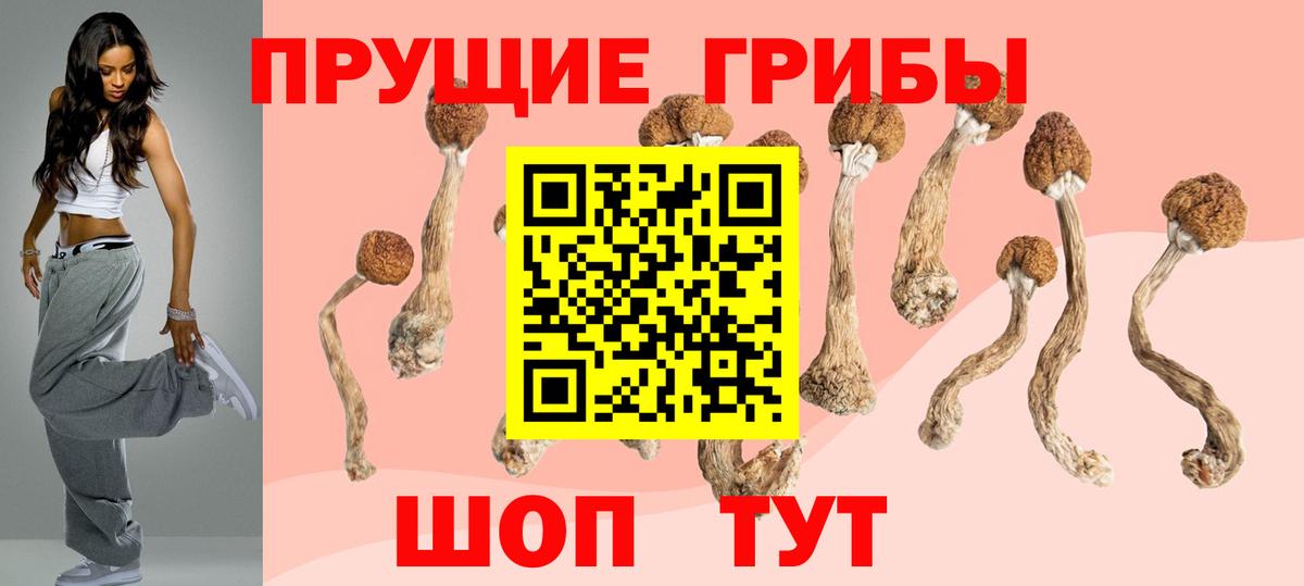 Галлюциногенные грибы MAGIC MUSHROOMS  Вход с VPN  Борзя 